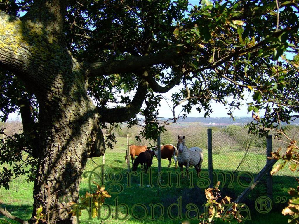 Agriturismo Abbondanza Villa อัลเบโรเบลโล ภายนอก รูปภาพ