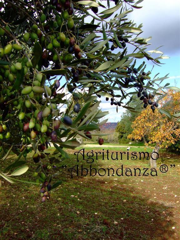 Agriturismo Abbondanza Villa อัลเบโรเบลโล ภายนอก รูปภาพ